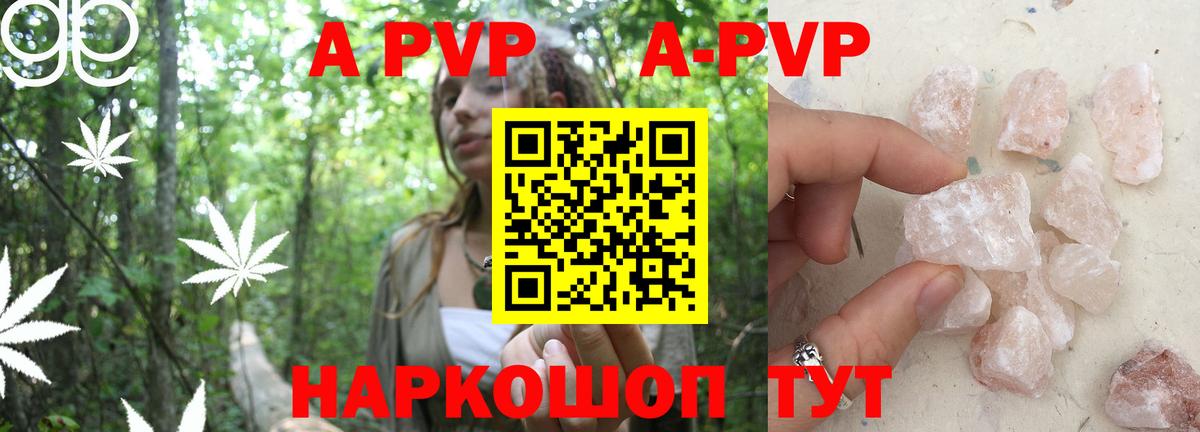 Alfa_PVP СК Абинск