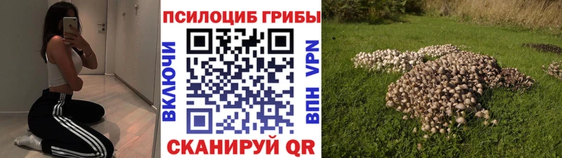 Галлюциногенные грибы мицелий Абинск
