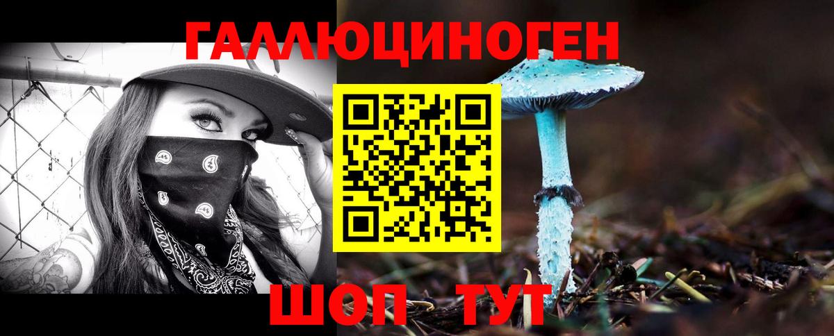 Галлюциногенные грибы GOLDEN TEACHER  магазин  наркотиков  Абинск 