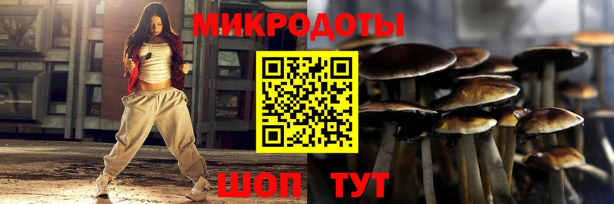 где купить наркоту  Галлюциногенные грибы GOLDEN TEACHER  Вход с VPN  Абинск 