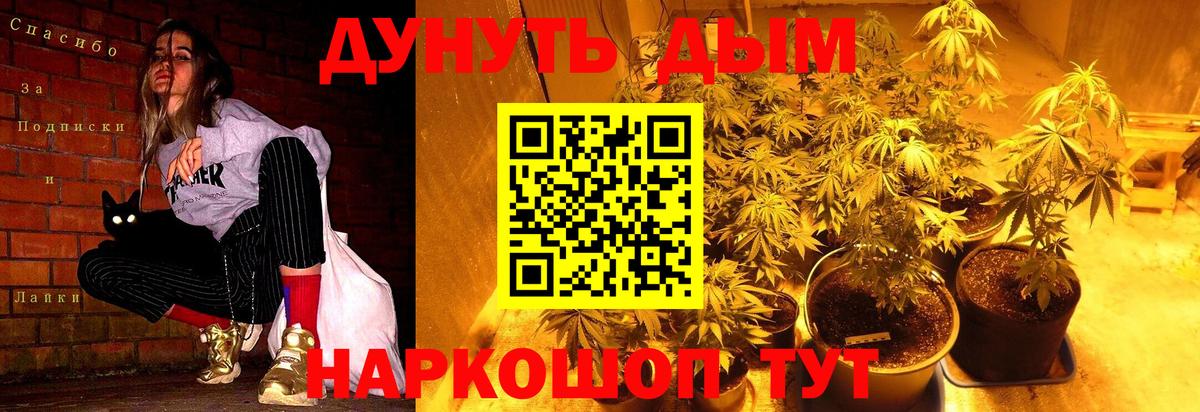 Шишки марихуана Bruce Banner  Канабис марихуана  МАРИХУАНА AK-47  Абинск 